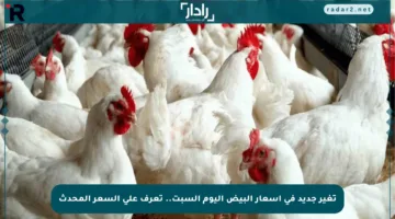 تغير جديد في أسعار البيض اليوم السبت.. تعرف على السعر المحدث